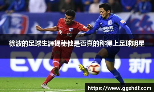 徐波的足球生涯揭秘他是否真的称得上足球明星