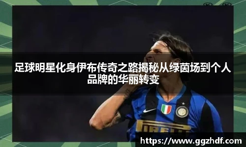 足球明星化身伊布传奇之路揭秘从绿茵场到个人品牌的华丽转变